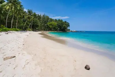 a beach with a group of palm trees and the ocean at Tropical Stay at Apartment B603 in VV Patong in Patong Beach