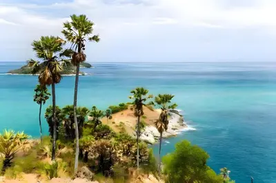 a view of a beach with palm trees and the ocean at XX Go Inn Phuket Patong Beach - ป่าตองบีช in Patong Beach