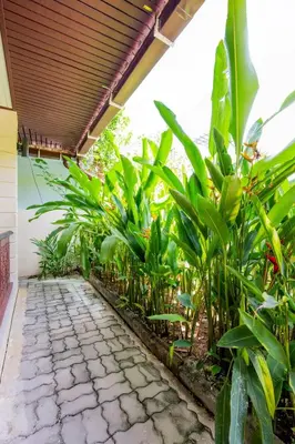 a patio with a bunch of green plants at Kamala Beach House, 7-Min Walk to Beach in Kamala Beach