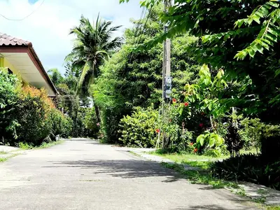 a driveway with trees and a house and a street at Village Beach House I in Patong Beach