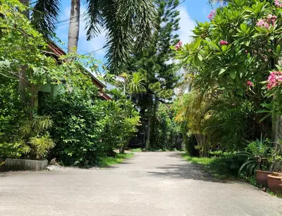 a road lined with trees and flowers on a street at Village Beach House IV in Patong Beach