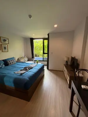 a bedroom with a large blue bed and a window at The Base Central Phuket-B20W in Ban Rangeng