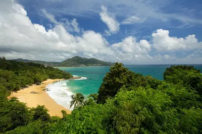 a view of a beach with trees and the ocean at 1bdr Modern Apartment Cozy Seaview Stay in Surin Beach