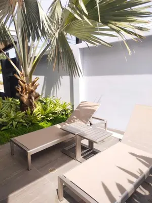 a patio with two chairs and a palm tree at Rawai Villa in Rawai Beach
