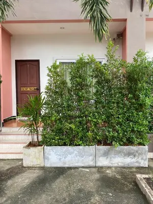 a building with bushes in front of a door at วันสมายล์ รีสอร์ท in Ban Klang