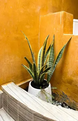 a potted plant sitting on top of a bench at Sun-San Thalane Resort in Ban Laem