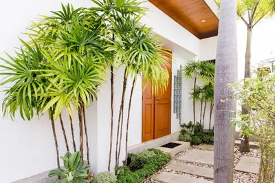 a house with palm trees in front of a door at Serene Contemporary Villa with a Swimming Pool in Ban Saiyuan (1)