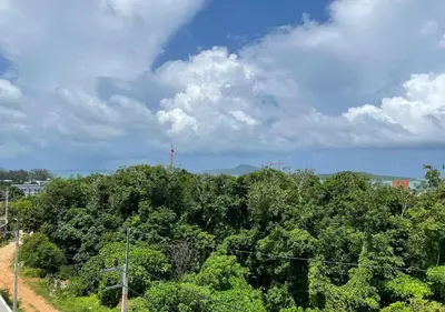 a view of a forest of trees under a cloudy sky at Luxurious 5-star Apartment in Rawai Beach
