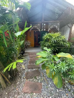 a garden with plants and a pathway in front of a building at Leon Oasis Nai Harn in Rawai Beach