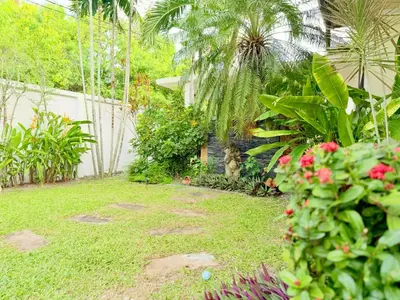a garden with plants and flowers in a yard at BlueElephant Villa NaiHarn in Rawai Beach