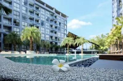 a white flower sitting on a rock next to a swimming pool at Oasis in CityGate 1BR Suite in Kamala Beach