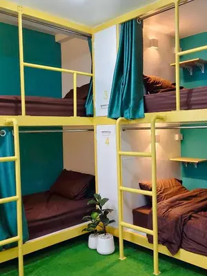 three bunk beds in a room with a plant at Banana Bunkhouse Hostel in Rawai Beach