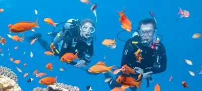 a man in diving gear with a school of fish at Modern Kamala Townhouse Hideaway with Shared Pool in Kamala Beach