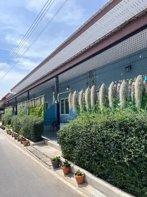 a blue building with plants on the side of it at Yada House Sunny Place in Ban Bo Han