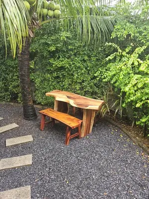 a wooden bench sitting next to a palm tree at Tropical Hideaway Close to the Beach in Ban Thalat Choeng Thale