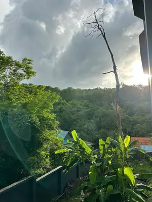 a view of a forest from a balcony at Modern apartment Utopia Naiharn (A22) in Rawai Beach