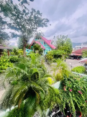 a group of plants in a yard with a blue house at Ann & John Guesthouse in Patong Beach