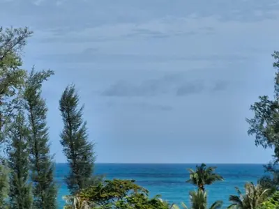 a view of the ocean through some trees at Laguna Song in Bang Tao Beach