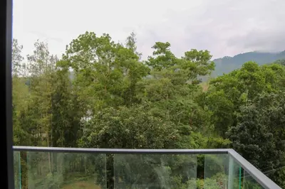 a view of a forest from a balcony at Beachside Bliss 2- Bed HM612 in Phuket Town