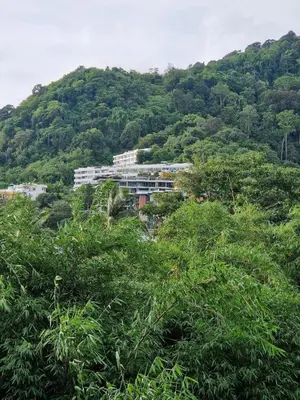 a building on top of a hill with trees at The Deck Patong Pool View in Patong Beach