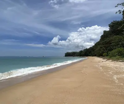 a sandy beach with the ocean and trees on it at Royal Lee Airport Phuket in Ban Bo Han