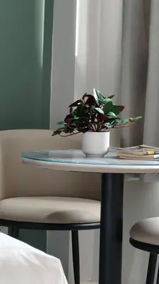 a table with a potted plant on top of it at Le Wadee Residence in Bang Tao Beach