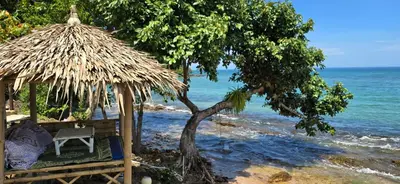 a hut on the beach with a tree and the ocean at Krabi Sea view, Lilly Beach Room Balibar in Krabi town