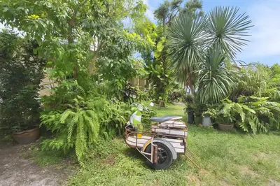 a motor scooter parked in a yard with plants at Dalbit Thai Stay 2 Bedroom Patong house - 8mins walk to Jungcyelon Bangla Rd in Patong Beach