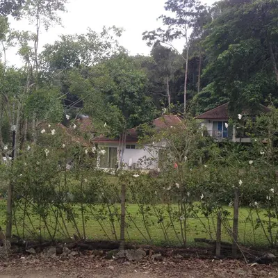 a house behind a fence in front of a yard at Kathu Waterfall Bungalow in Kathu