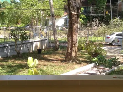 a view from a window of a yard with trees at Kathu Waterfall Bungalow in Kathu