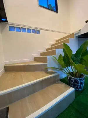 a set of stairs in a room with a potted plant at Rinda House Patong 31 in Patong Beach