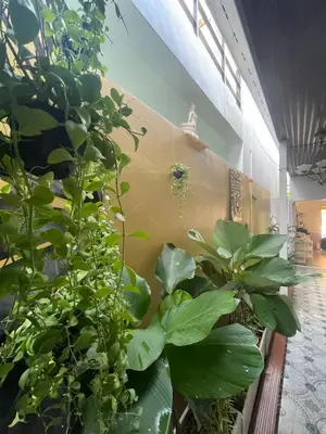 a bunch of plants sitting next to a wall at The Buddha Rawai Villa in Ban Saiyuan (1)