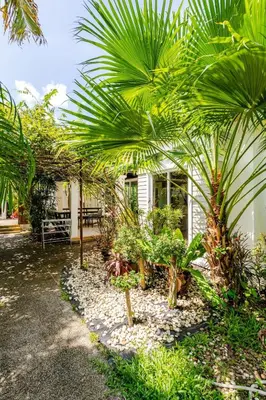a garden with palm trees and a house at Tree Resort Palai v2 in Chalong