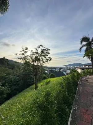 a tree on a hill with a view of a river at Quiet Seaview House 1 Bedroom Patong in Patong Beach