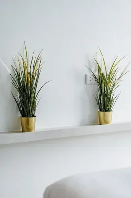 two potted plants sitting on a white shelf at Cassia Exclusive Lake View Condo Bang Tao Beach in Phuket Town