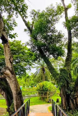 a park with a tree and a fence at Laguna Park Phuket 5BR Villa with Rooftop Pool #84194 in Laguna Phuket