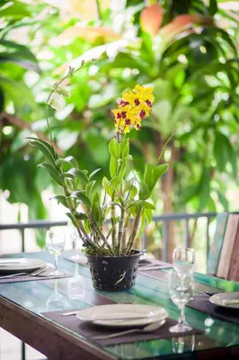 a table with a vase with a flower on it at Jaccuzi House 5 pl 200 m from a beautiful beach in Klong Muang Beach