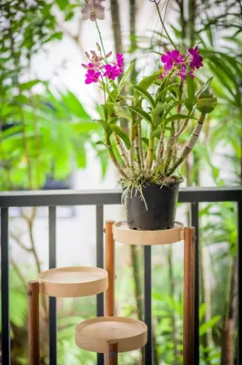 two wooden stools with a potted plant on a balcony at Jaccuzi House 5 pl 200 m from a beautiful beach in Klong Muang Beach