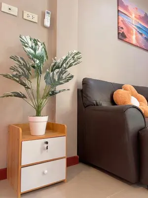 a potted plant on a table next to a couch at Pluemjai mansion in Kathu