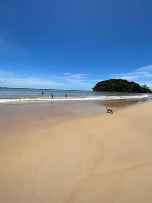 a dog walking on a beach with people in the water at 5BR Luxury Villa Bangtao With Staff Phuket in Laguna Phuket