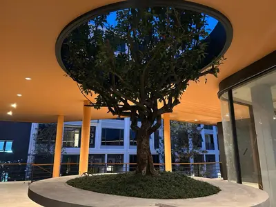 a tree in the middle of a building at Новая студия Bellevue Bangtao in Laguna Phuket