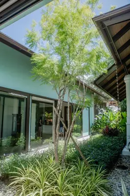 a tree in the courtyard of a house at 4BR Laguna Golf View Pool Villa Retreats Phuket in Laguna Phuket