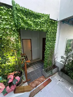 an entrance to a building with green ivy on it at Maison Paradise Sea View in Patong Beach