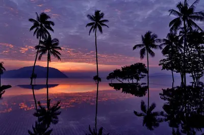 a group of palm trees in front of a sunset at The Vijitt - Deluxe Seaview Villa in Ban Saiyuan (1)