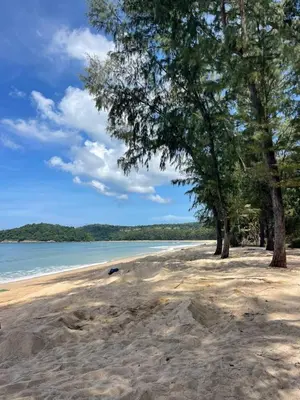 a sandy beach with trees and the water at Kora Beach Studio in Layan Beach