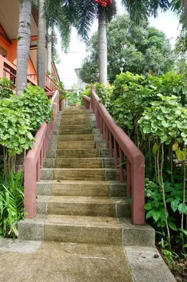 a stairway leading up to a building with plants at The Cozy House in Karon Beach