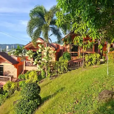 The Cozy House