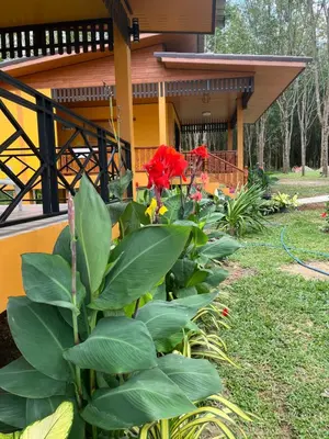 a garden with red flowers in front of a house at SeaMountain Kohyao Noi in Ko Yao Noi