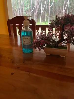 a bottle of soap sitting on a table with two plants at SeaMountain Kohyao Noi in Ko Yao Noi