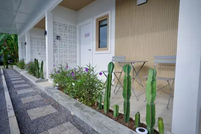 a group of cactuses in front of a house at The Cozy Haus Airport in Ban Muang Mai (1)